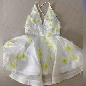 Zimmerman Daisy Dress